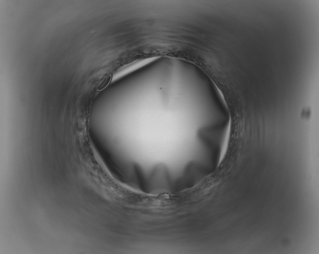 X0000112811109200909111253