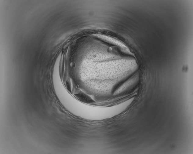 X0000112811110200909111253