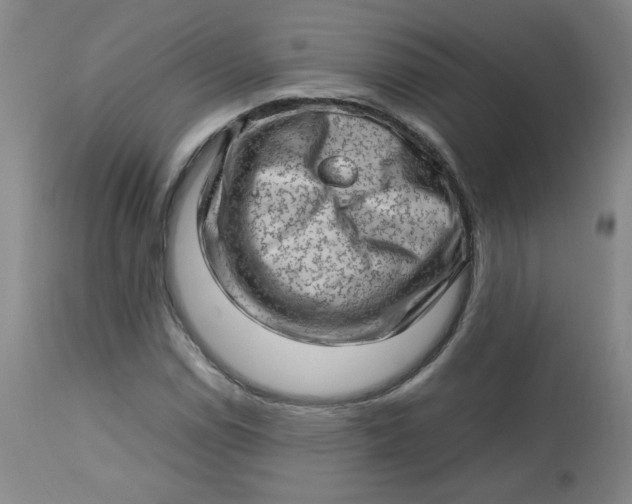 X0000112811114200909111253