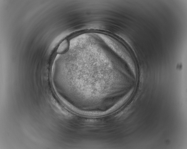 X0000112811115200909111253