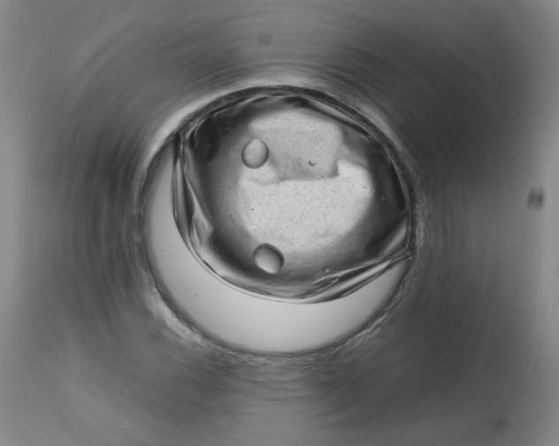 X0000112811116200909111253