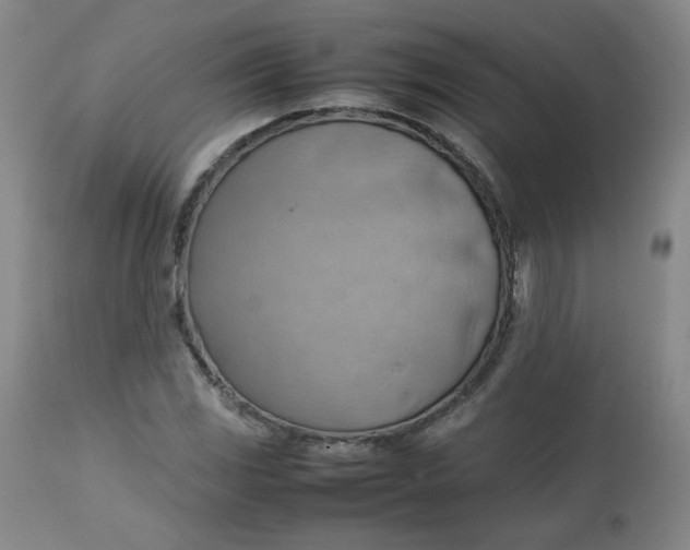 X0000112811117200909111253