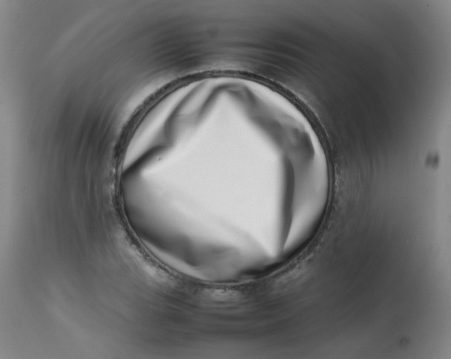 X0000112811119200909111253