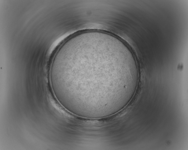 X0000112811120200909111253