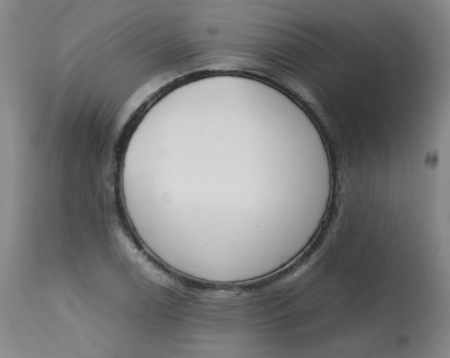 X0000112811122200909111253