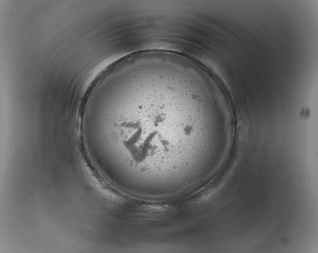 X0000112811125200909111253