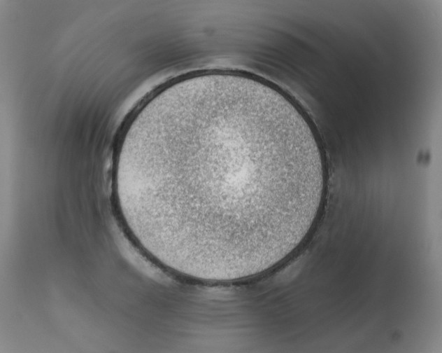 X0000112811126200909111253