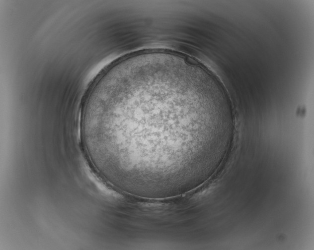 X0000112811127200909111253