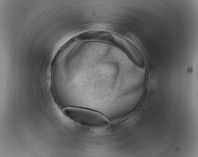 X0000112811128200909111253