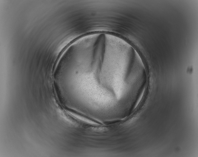 X0000112811129200909111253