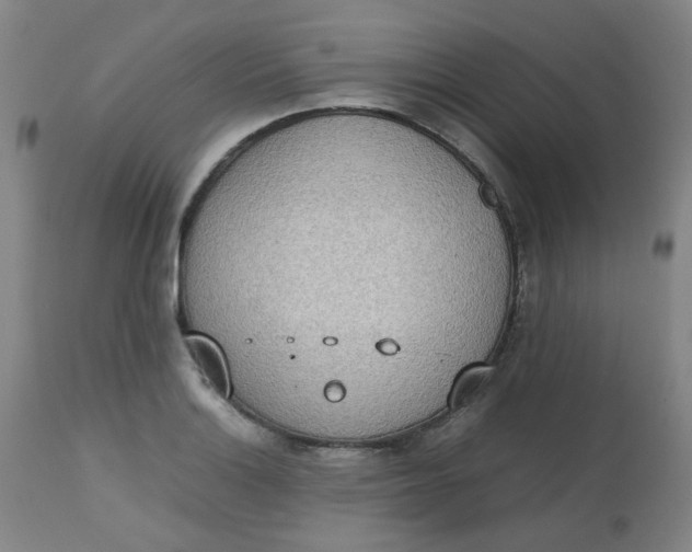 X0000112811132200909111253