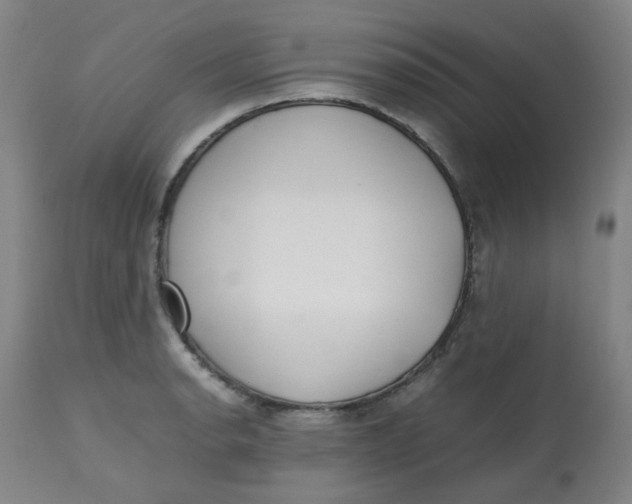 X0000112811134200909111253