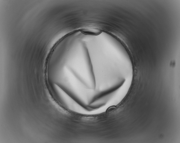 X0000112811135200909111253