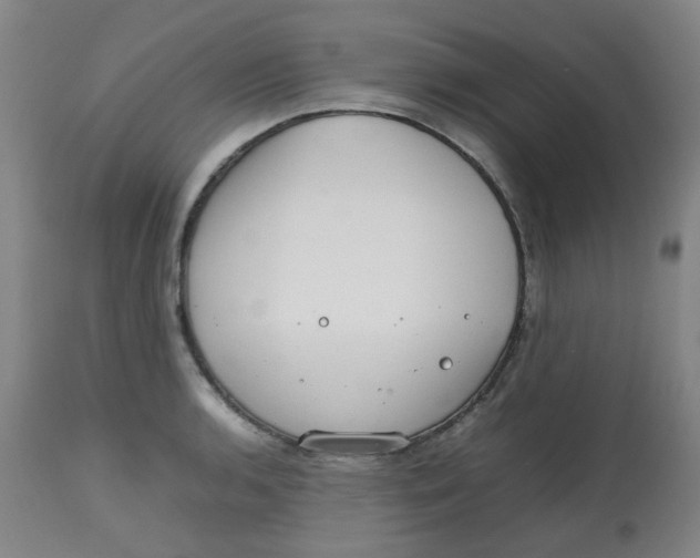 X0000112811136200909111253