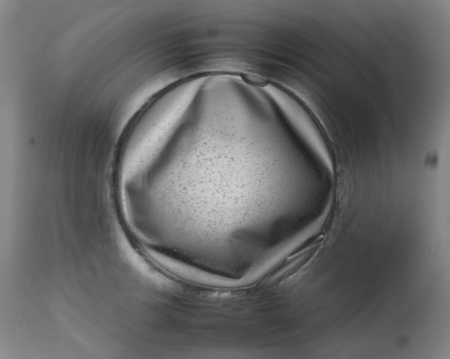 X0000112811139200909111254