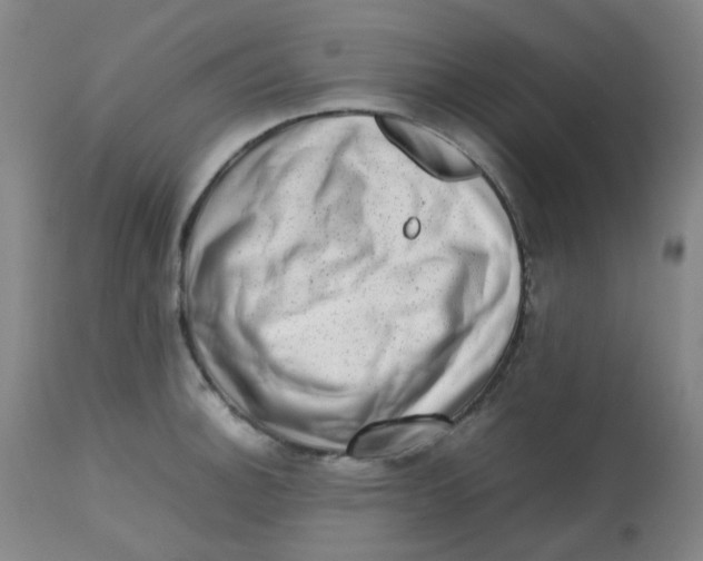 X0000112811140200909111254