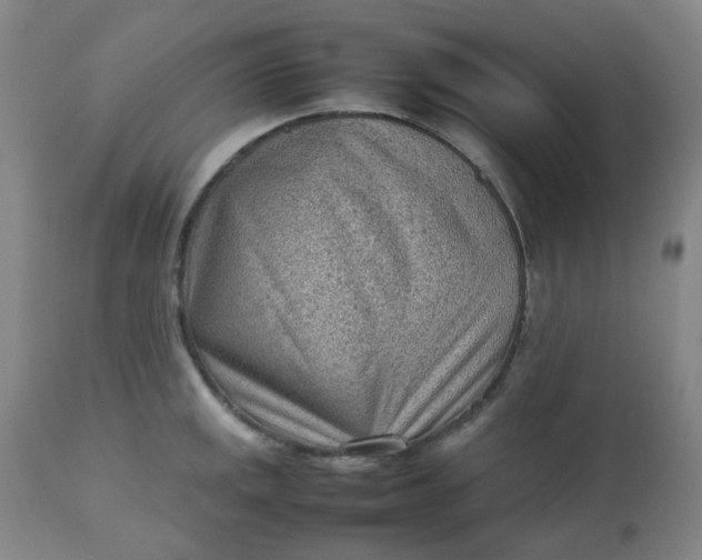 X0000112811141200909111254