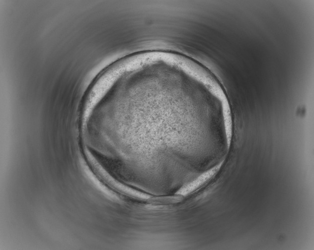 X0000112811142200909111254