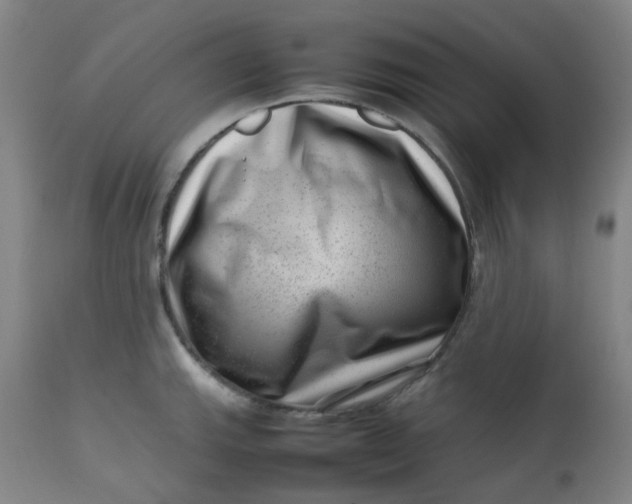 X0000112811143200909111254