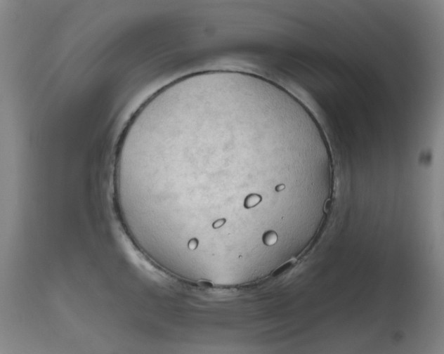 X0000112811144200909111254