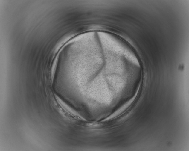 X0000112811145200909111254