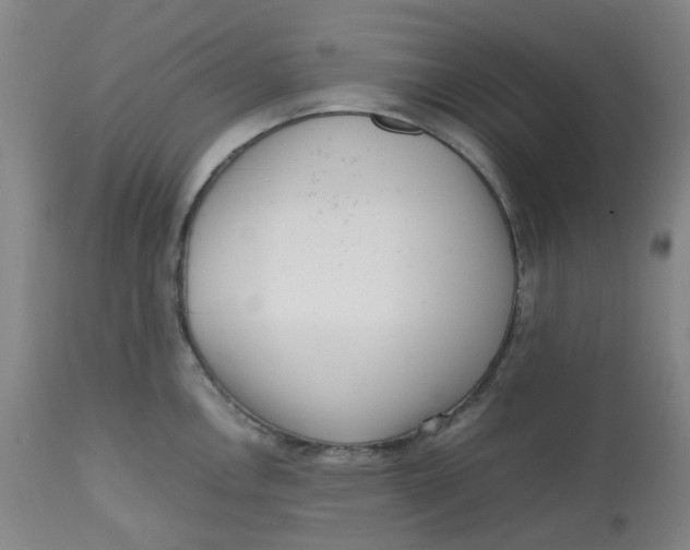 X0000112811146200909111254