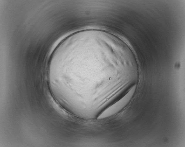 X0000112811148200909111254