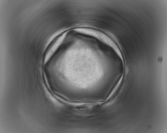 X0000112811149200909111254