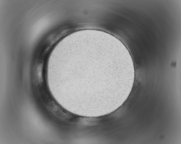 X0000112811150200909111254