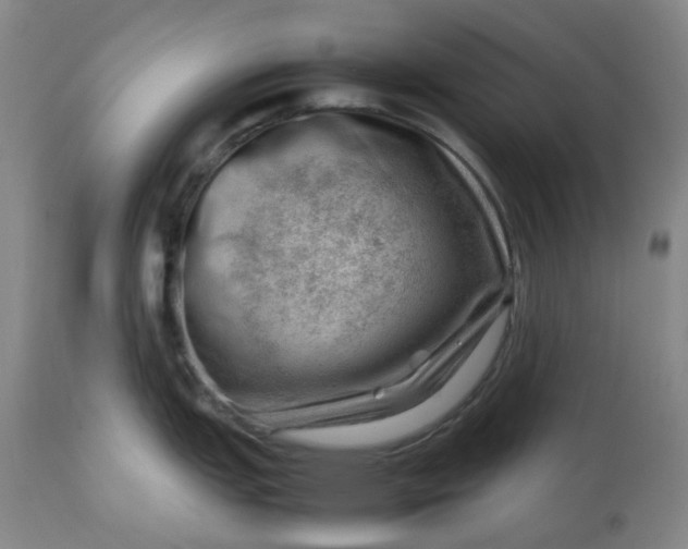 X0000112811151200909111254