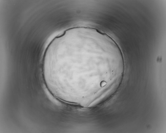 X0000112811152200909111254