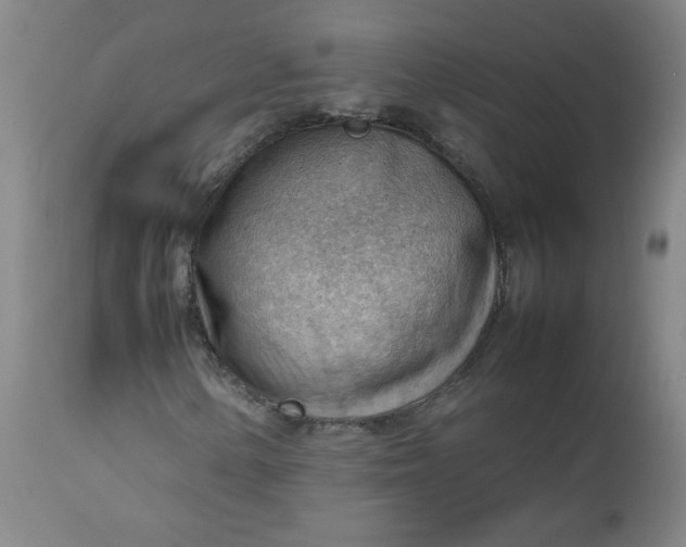 X0000112811154200909111253