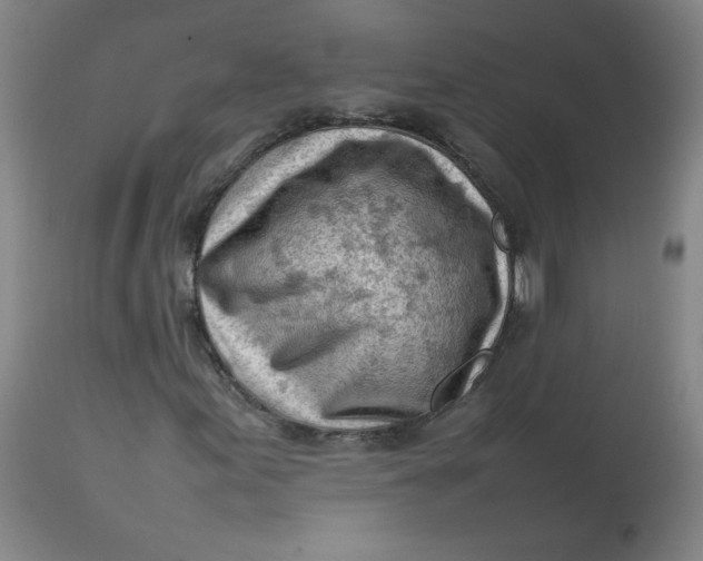 X0000112811155200909111253