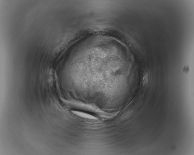 X0000112811156200909111253