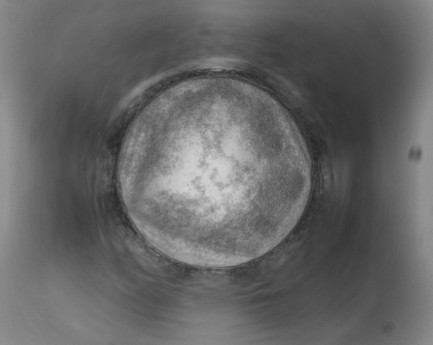 X0000112811158200909111253