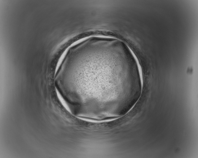 X0000112811159200909111253