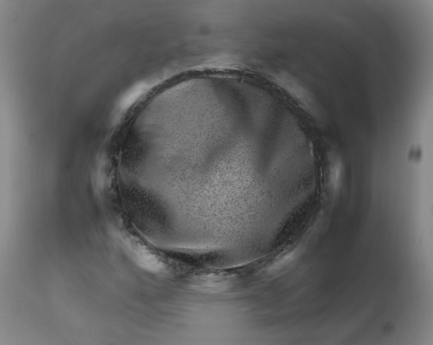 X0000112811160200909111253