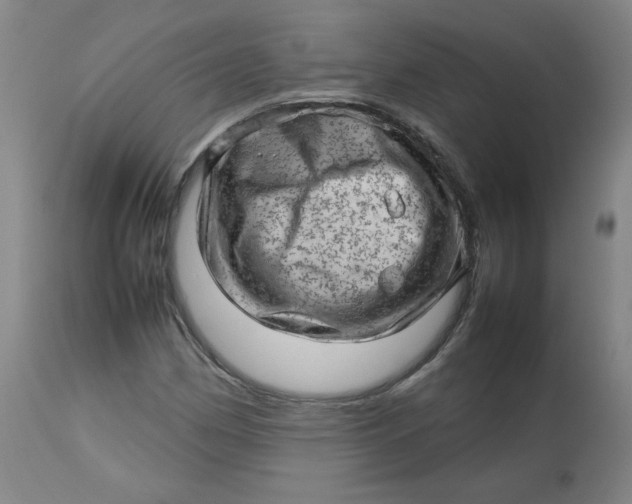 X0000112811162200909111253