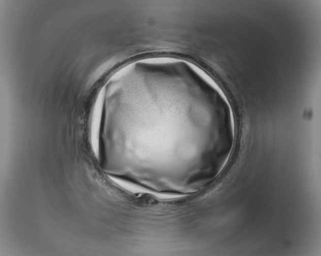 X0000112811163200909111253