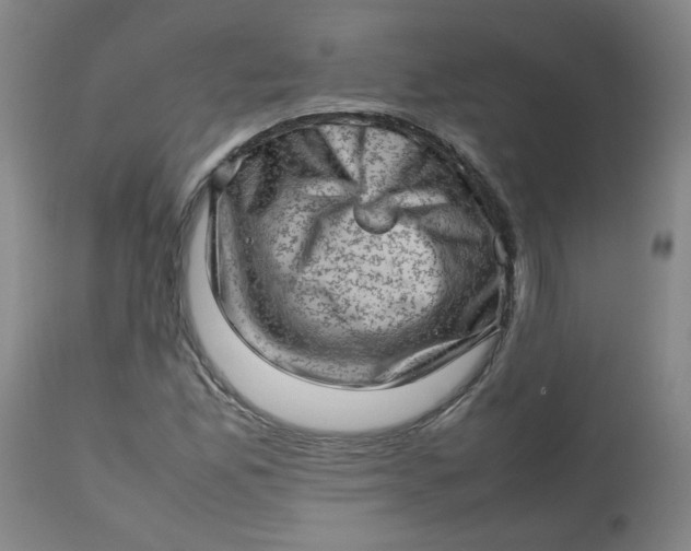 X0000112811165200909111253