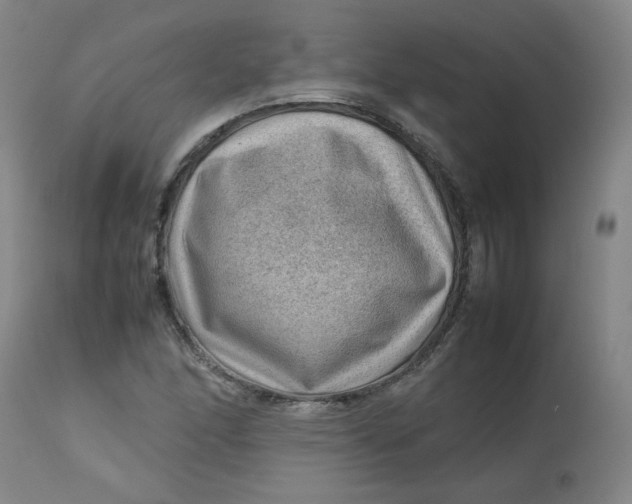 X0000112811166200909111253