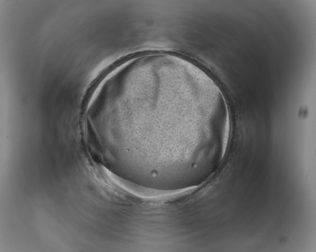 X0000112811168200909111253