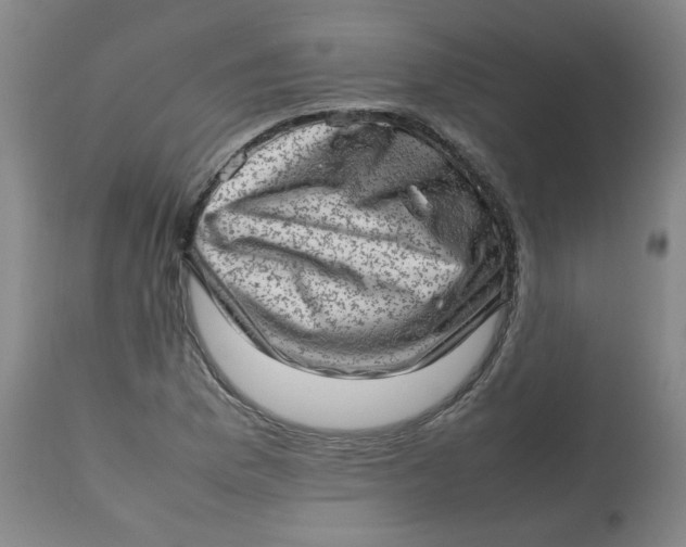 X0000112811169200909111253