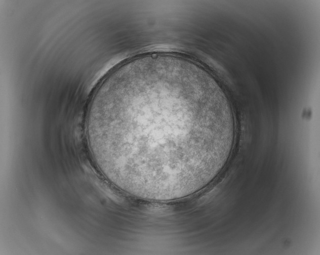 X0000112811170200909111253