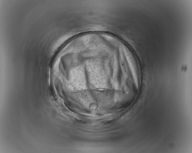 X0000112811171200909111253