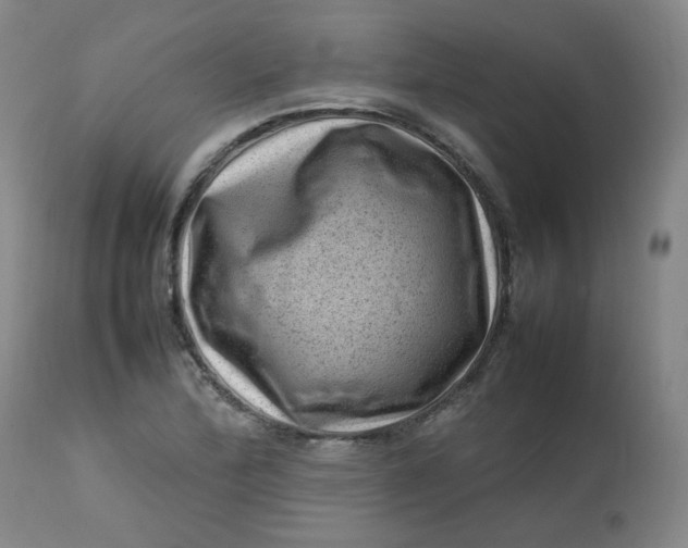 X0000112811172200909111252