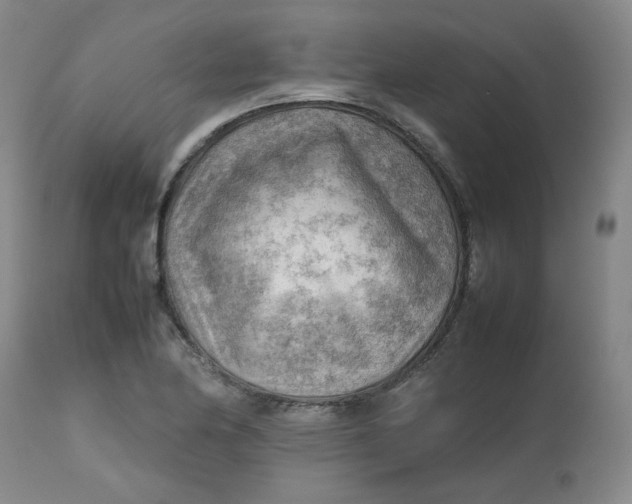 X0000112811174200909111252