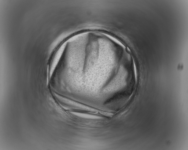 X0000112811175200909111252