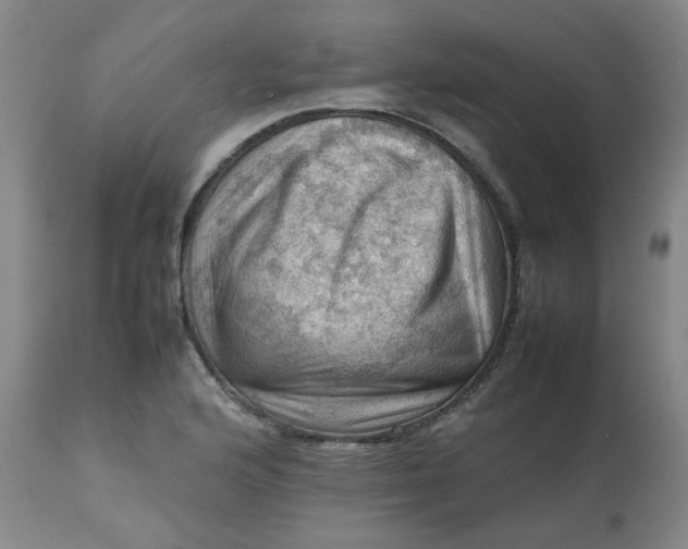 X0000112811176200909111252