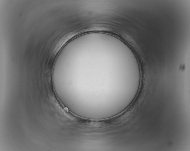 X0000112811177200909111252